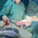 WhatsApp Image 2026-03-06 at 12.53.22 AM