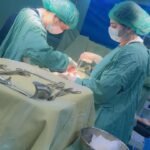 WhatsApp Image 2026-03-06 at 12.53.23 AM